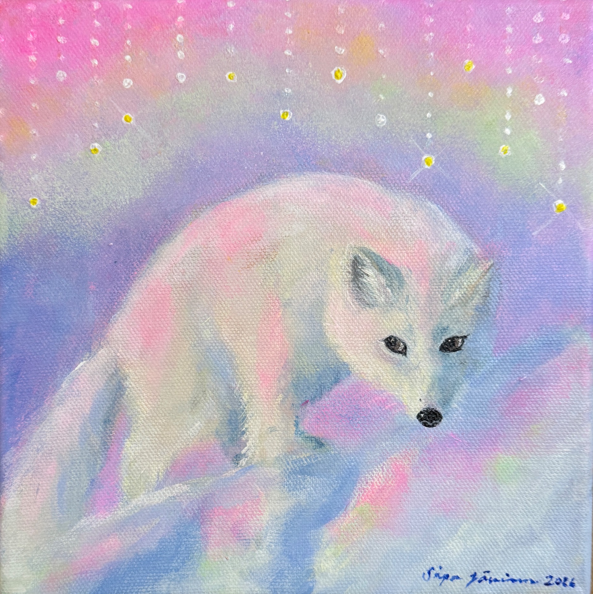 Reposet tähtinä taivaalla